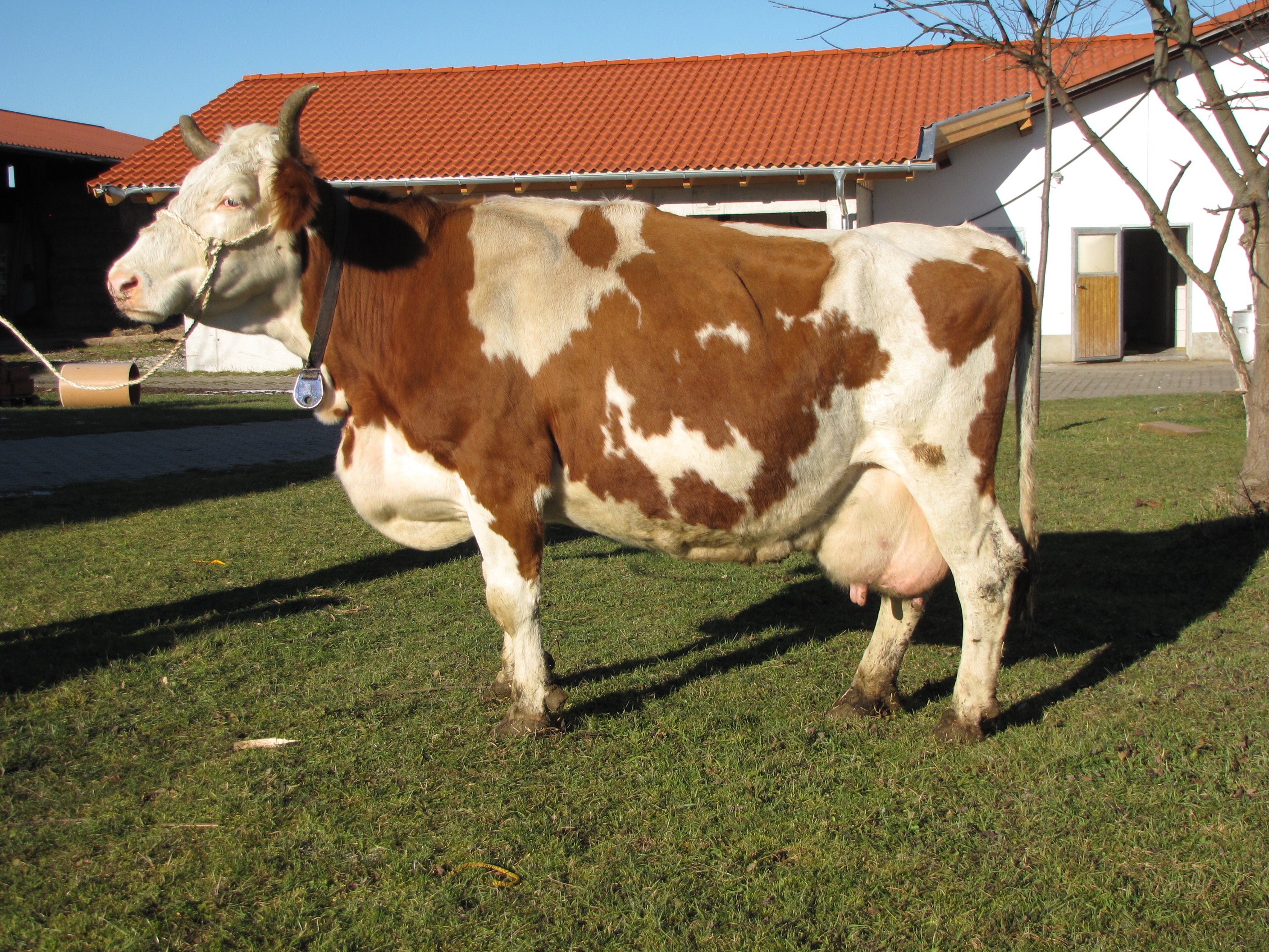 Wendy, 16 Jahre alt